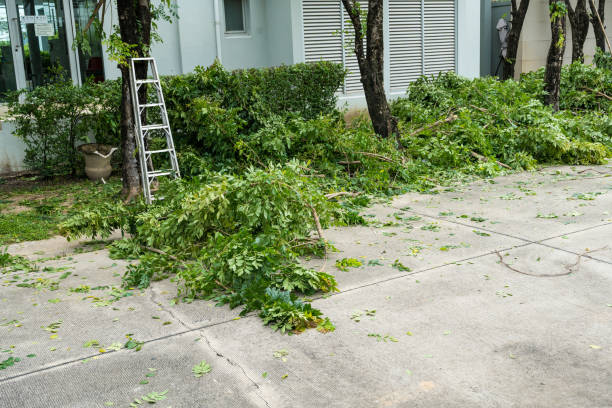 Best Seasonal Cleanup (Spring/Fall)  in Pleasant Run, OH